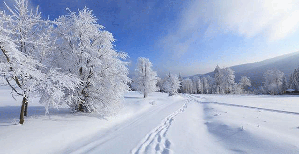 大雪夜袭，综管保安全