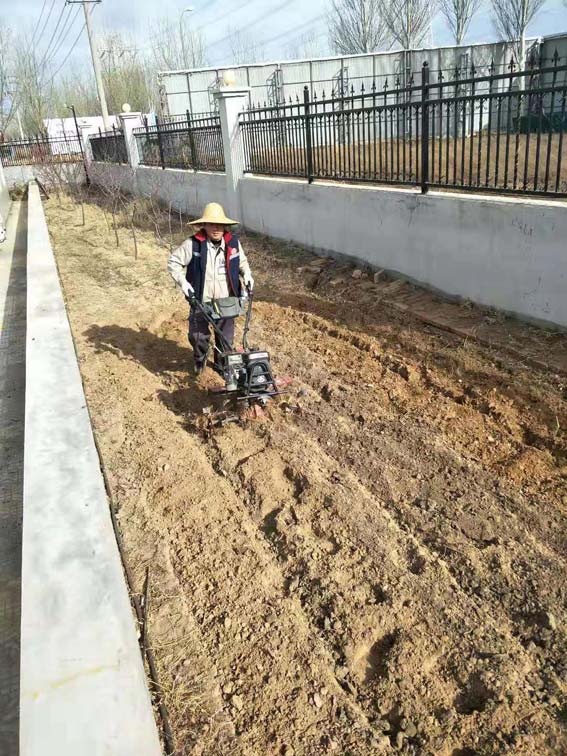 春暖花开耕种忙  大地飞歌气象新