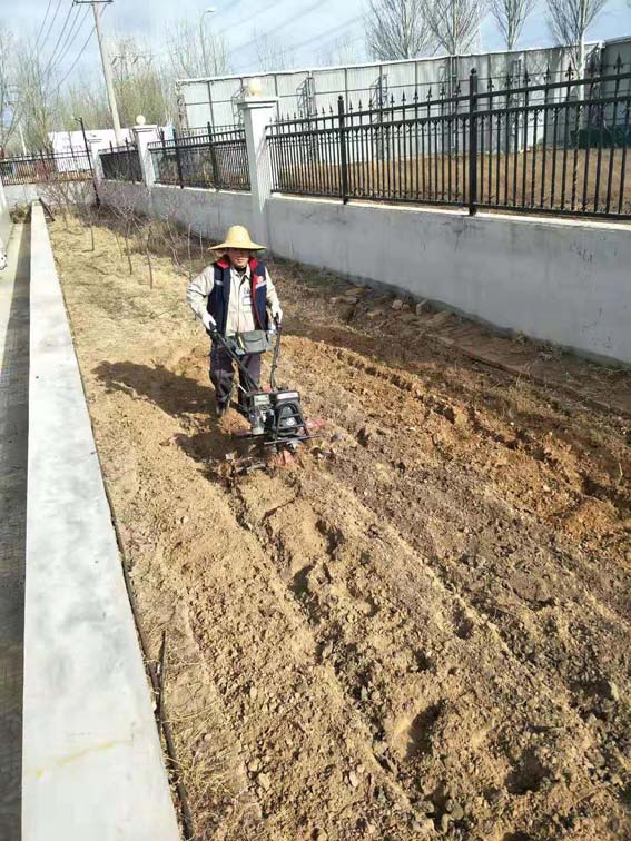 春暖花开耕种忙  大地飞歌气象新